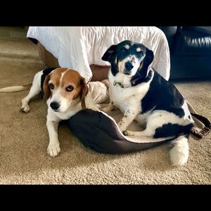 Meet your Posher, Mandy